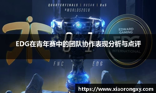 EDG在青年赛中的团队协作表现分析与点评